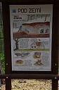 IMGP7164.JPG