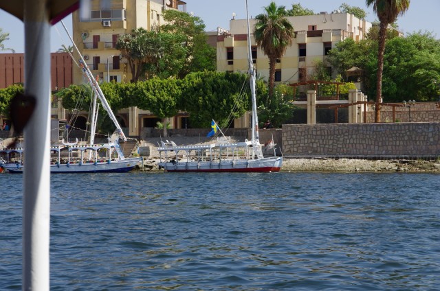 IMGP7421.JPG