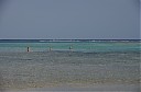 IMGP7282.JPG