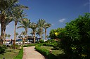 IMGP7293.JPG