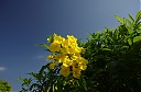 IMGP7294.JPG