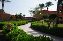 IMGP7302.JPG