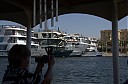 IMGP7454.jpg