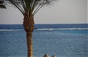 IMGP7649.JPG