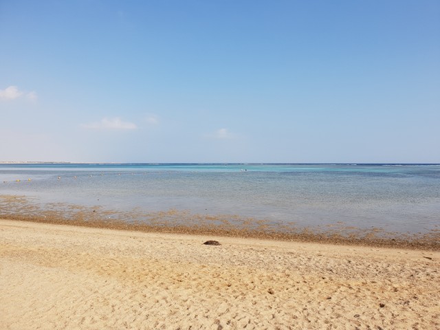 20191024_082031.jpg