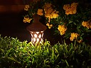 20191027_204426.jpg